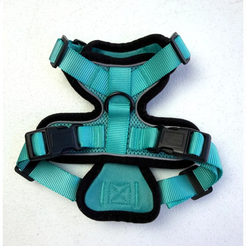 Rabbitgoo Dog Harness XS Teal No Pull Reflective Mesh Adjustabl Walking Vest Pet